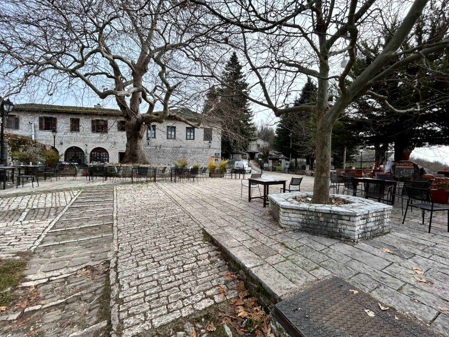 Square Monodendri